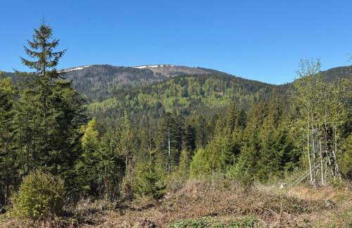 HAUS AM SEE - Natur Pur - Foto 8