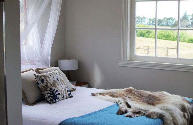 Wines for Joanie Cottage - Foto 4