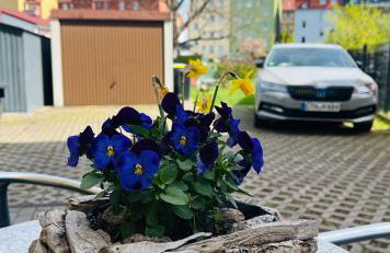 Ferienwohnung Helene - Photo 25