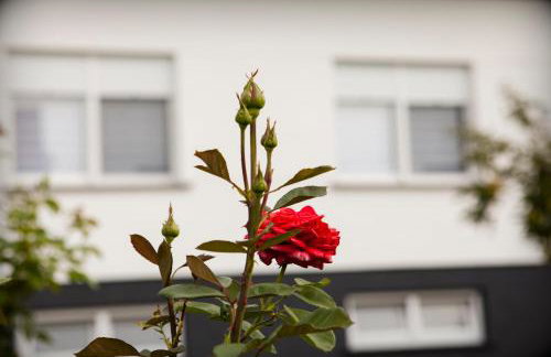 Apartman Kuća 150 - Foto 4