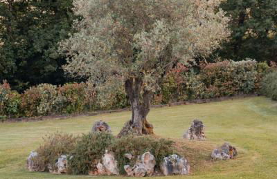 Podere Cerretino - Foto 64