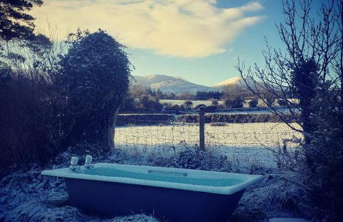 Bryansford Cottage Stables - Foto 20