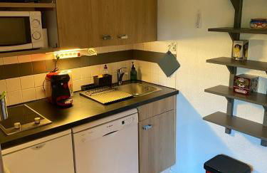 Studio 4 pers à 100m des pistes- Vars les claux - Foto 23