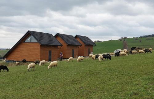 COSY CABINS - las, jezioro, góry,wyciąg Czorsztyn-Ski, prywatna sauna, jacuzzi bez limitu - Foto 80