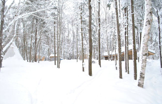 Chimo Refuges Treehouse Resort - Foto 55