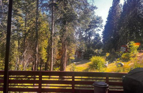 ManVee at Yosemite - Foto 48