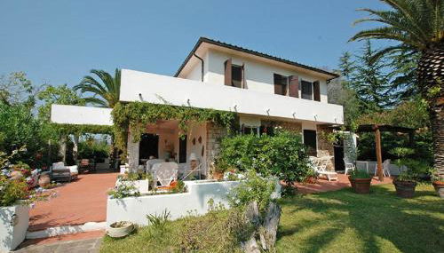 Le Palme - Foto 1, Garden