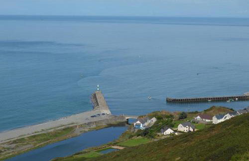 3 Bed in Aberystwyth oc-bow115 - Foto 20