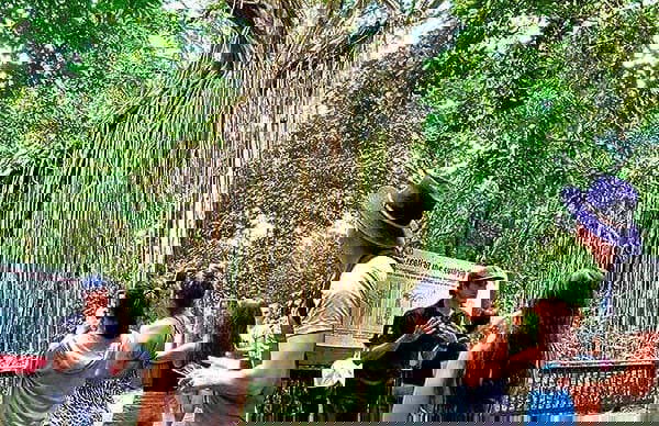 Excursión a Atherton Tablelands - Foto 7