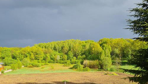 Dom Na Wzgórzu - Foto 5, Garden, Garden view