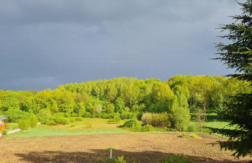 Dom Na Wzgórzu - Foto 5