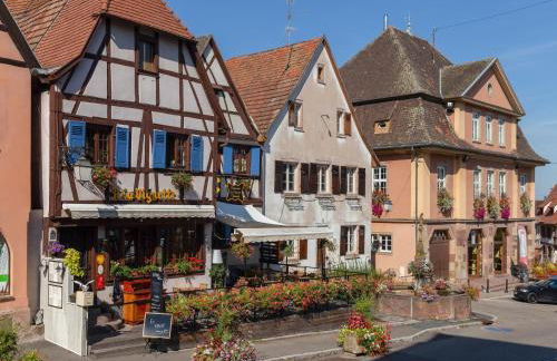 Apartment in Alsace near Haut-Koenigsbourg - Foto 2