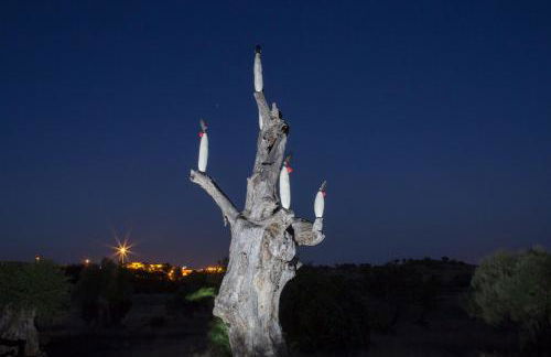 Espargosa Monte de Baixo & Art - Foto 39