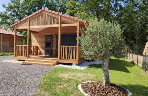 Lac du Der Chalet neuf tout confort - Foto 1