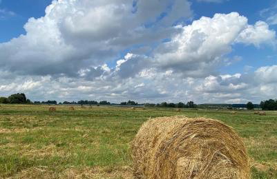 Agroturystyka Raj "Pod rzeźbami" - Photo 76