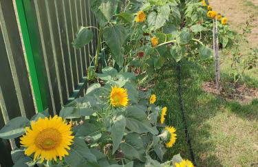 Zielona Przystań - Foto 20