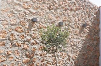 La joya de la Alcazaba - Foto 41