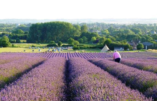 The Dorjean at Mill Road - relaxing 1 bed 1 bath - Foto 11