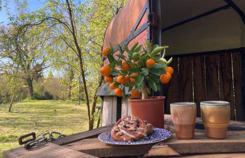 The Old Stables Aberporth - Foto 10