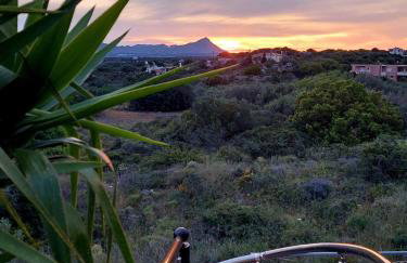 dream tiny house & luxury tent - Foto 23