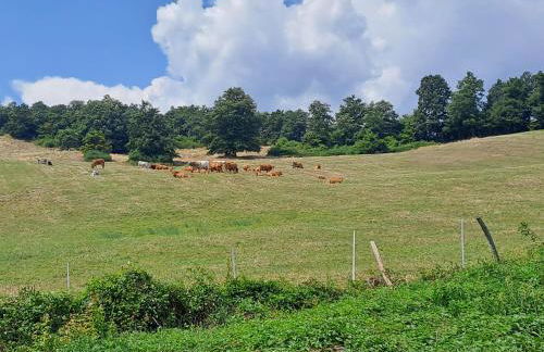 La piccola baita - Photo 45