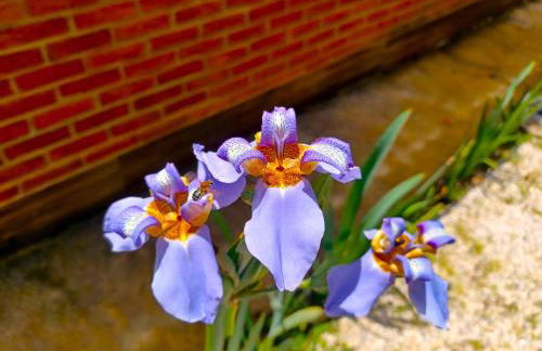 Sopro da Serra Chalés - Foto 80