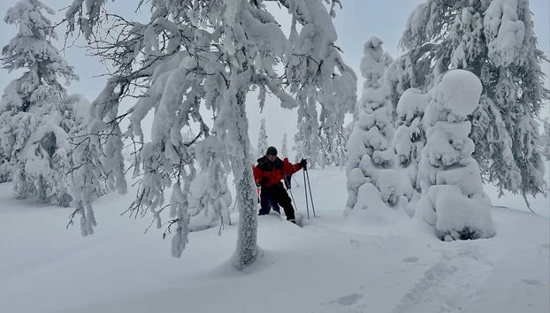 La neve al parco Pallas-Yllästunturi