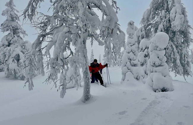 Balade en raquettes à neige dans le Parc Pallas-Yllästunturi - Photo 3