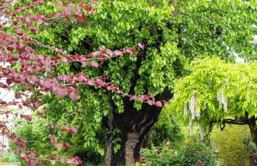 Alba Morus - Photo 34