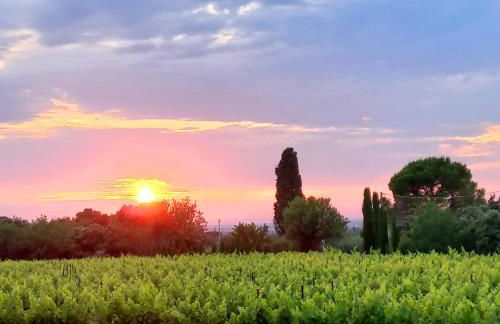 Le Cottage du Chat Blanc - Foto 32