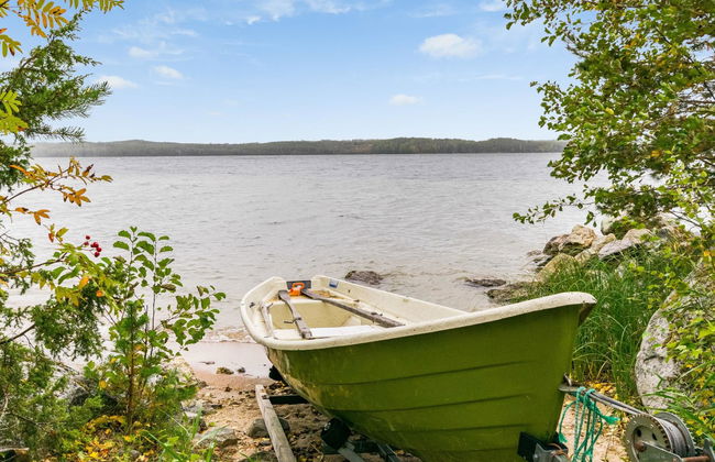 Aurinkoniemi - Foto 3