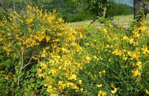 Casa delle ginestre - Foto 3