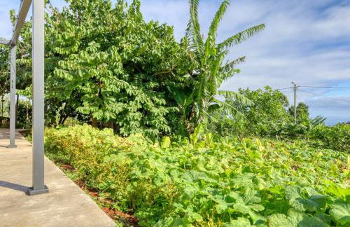 O Miminho, a Home in Madeira - Foto 28