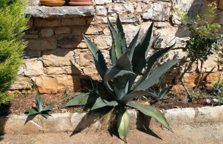 Moratto's Apartments - Foto 51