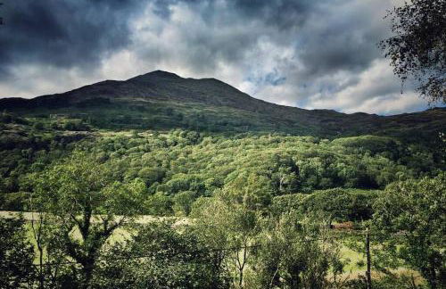 CELYN - SNOWDONIA COTTAGE - Photo 10