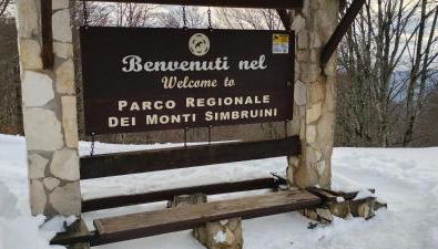 A casa di Olly - Foto 4