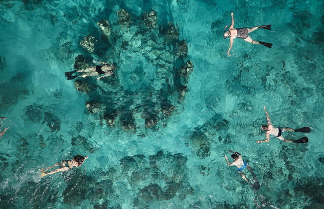 BASK GILI MENO - Foto 69