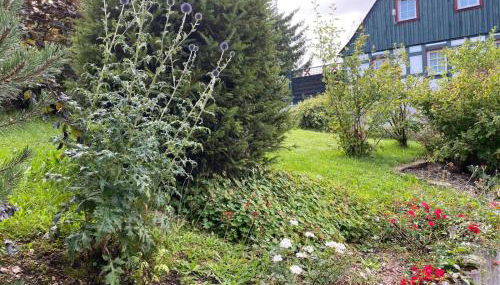 Ferienwohnung Kelch - Foto 5, Garden, Garden view