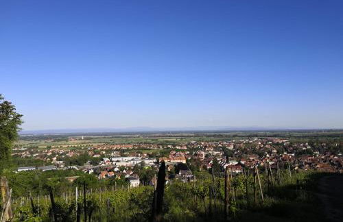 NeoAppart - Photo 18