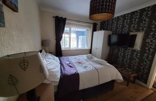 Dolphin House - Foto 28