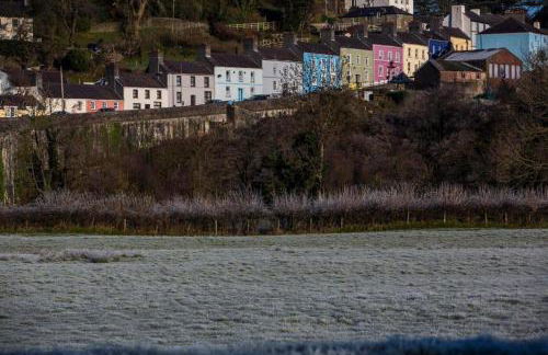 Tregib Mill Cottage - Photo 18