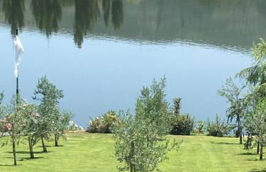 Casa da Horta - Foto 1