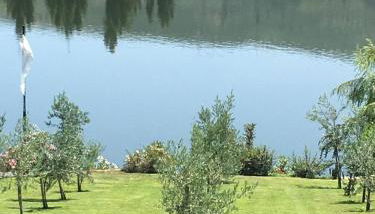 Casa da Horta - Photo 1