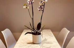 The Garden Apartment - Foto 13