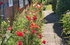 de lüt Ferienhof Jameln - Foto 16