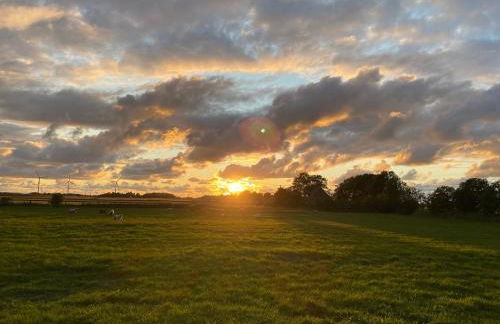 Jensen-Hoff - Foto 29