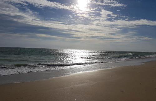 Les Gravelots - Foto 28