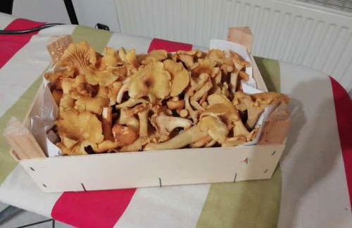 FeWo Mädi - Foto 20