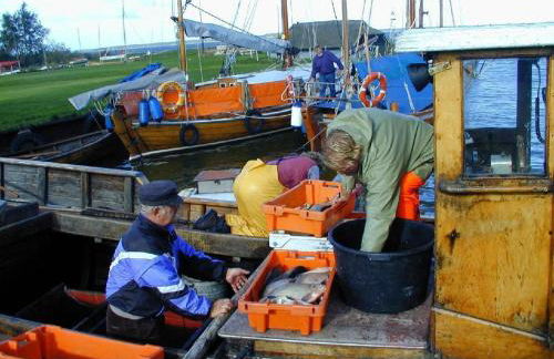 Holiday Home Fünfjahreszeiten in Bodstedt by Interhome - Foto 27
