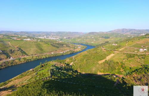 Quinta do Pombal Douro - Foto 5